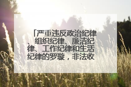 严重违反政治纪律、组织纪律、廉洁纪律、工作纪律和生活纪律的罗璇，非法收受他人巨额财物