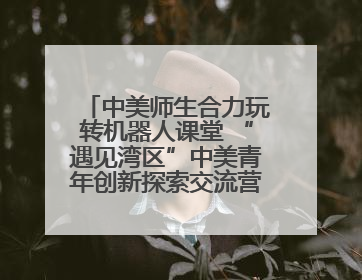 中美师生合力玩转机器人课堂 “遇见湾区”中美青年创新探索交流营在深圳开营