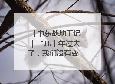 中东战地手记｜“几十年过去了，我们没有变得更安全”