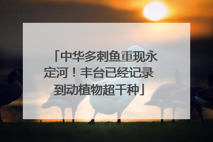 中华多刺鱼重现永定河！丰台已经记录到动植物超千种