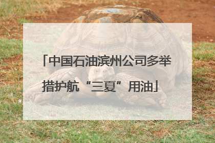 中国石油滨州公司多举措护航“三夏”用油