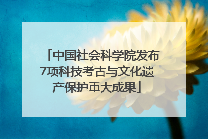 中国社会科学院发布7项科技考古与文化遗产保护重大成果