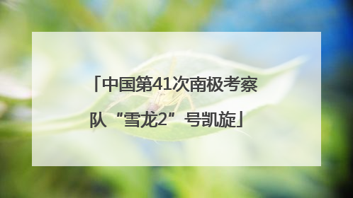 中国第41次南极考察队“雪龙2”号凯旋