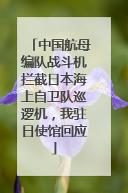 中国航母编队战斗机拦截日本海上自卫队巡逻机，我驻日使馆回应