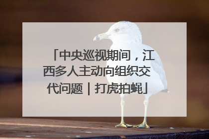 中央巡视期间，江西多人主动向组织交代问题｜打虎拍蝇