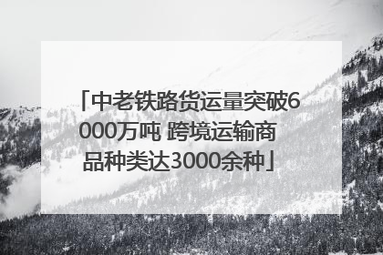 中老铁路货运量突破6000万吨 跨境运输商品种类达3000余种