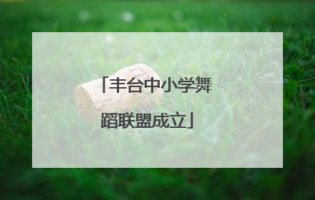 丰台中小学舞蹈联盟成立