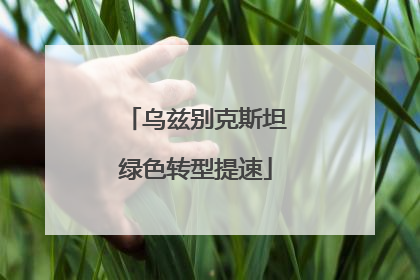 乌兹别克斯坦绿色转型提速