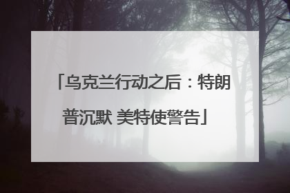 乌克兰行动之后：特朗普沉默 美特使警告