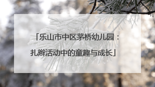 乐山市中区茅桥幼儿园：扎辫活动中的童趣与成长
