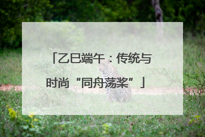 乙巳端午：传统与时尚“同舟荡桨”