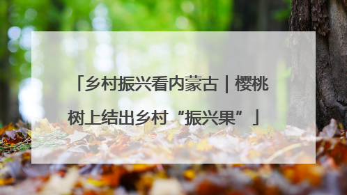 乡村振兴看内蒙古｜樱桃树上结出乡村“振兴果”