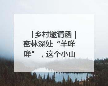 乡村邀请函｜密林深处“羊咩咩”，这个小山村如何逆袭？
