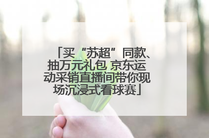 买“苏超”同款、抽万元礼包 京东运动采销直播间带你现场沉浸式看球赛