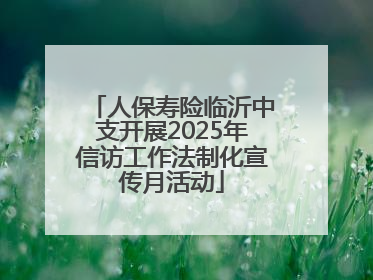 人保寿险临沂中支开展2025年信访工作法制化宣传月活动