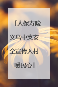 人保寿险义乌中支安全宣传入村暖民心