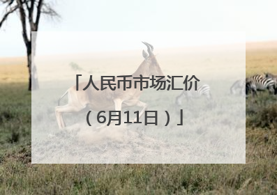 人民币市场汇价（6月11日）