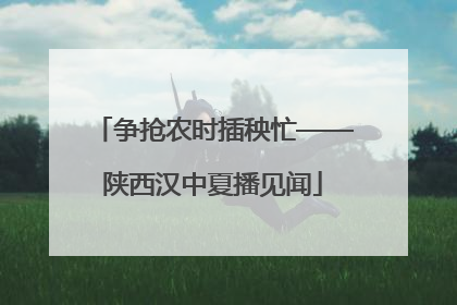 争抢农时插秧忙——陕西汉中夏播见闻