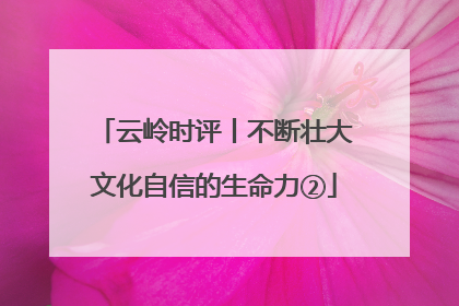 云岭时评丨不断壮大文化自信的生命力②