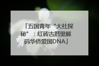 五国青年“大社探秘”：红砖古厝里解码华侨爱国DNA