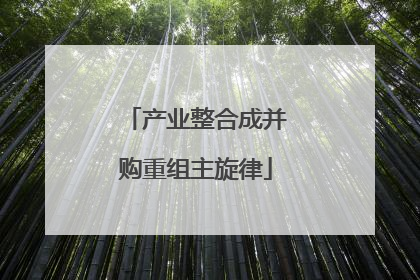 产业整合成并购重组主旋律