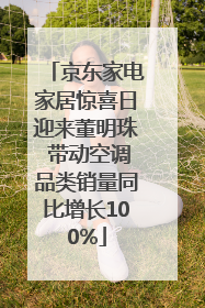 京东家电家居惊喜日迎来董明珠 带动空调品类销量同比增长100%