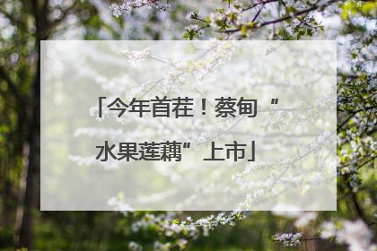 今年首茬！蔡甸“水果莲藕”上市