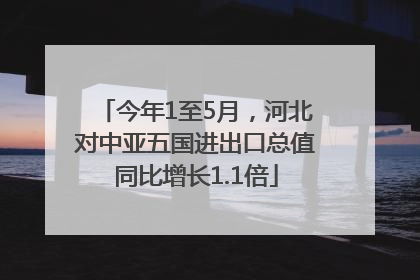 今年1至5月，河北对中亚五国进出口总值同比增长1.1倍
