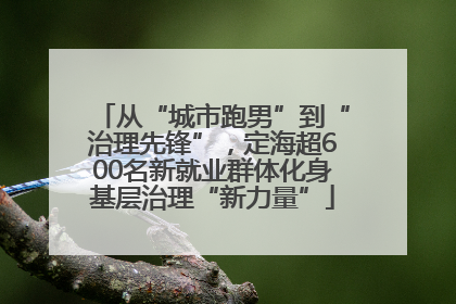 从“城市跑男”到“治理先锋”，定海超600名新就业群体化身基层治理“新力量”