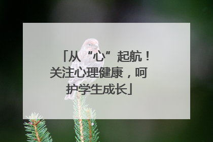 从“心”起航！关注心理健康，呵护学生成长