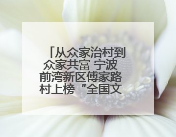 从众家治村到众家共富 宁波前湾新区傅家路村上榜“全国文明村”