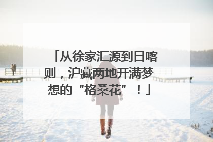 从徐家汇源到日喀则，沪藏两地开满梦想的“格桑花”！