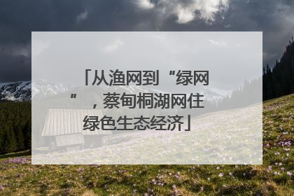 从渔网到“绿网”，蔡甸桐湖网住绿色生态经济