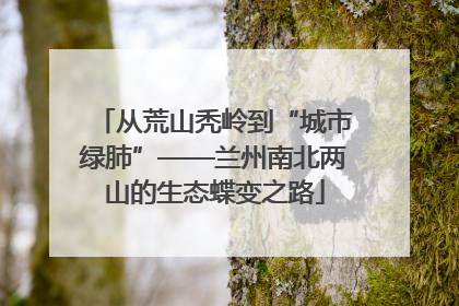 从荒山秃岭到“城市绿肺”——兰州南北两山的生态蝶变之路