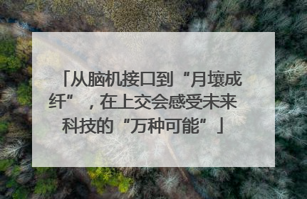 从脑机接口到“月壤成纤”，在上交会感受未来科技的“万种可能”