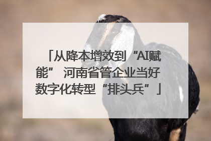 从降本增效到“AI赋能” 河南省管企业当好数字化转型“排头兵”