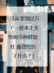 从零到过万！一度本土灭绝如今种群复壮 麋鹿经历了什么？
