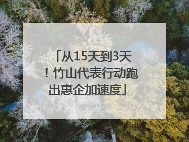 从15天到3天！竹山代表行动跑出惠企加速度