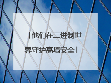 他们在二进制世界守护高墙安全