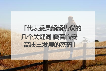 代表委员频频热议的几个关键词 藏着临安高质量发展的密码