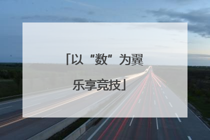 以“数”为翼 乐享竞技