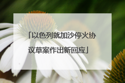 以色列就加沙停火协议草案作出新回应
