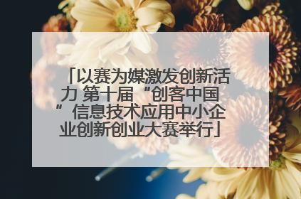 以赛为媒激发创新活力 第十届“创客中国”信息技术应用中小企业创新创业大赛举行