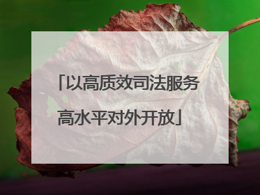 以高质效司法服务高水平对外开放