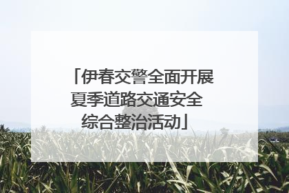 伊春交警全面开展 夏季道路交通安全综合整治活动