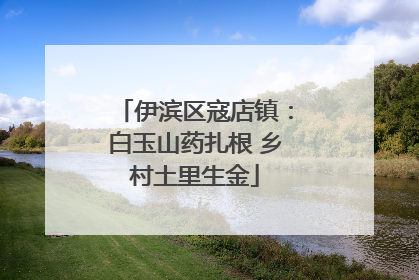 伊滨区寇店镇：白玉山药扎根 乡村土里生金