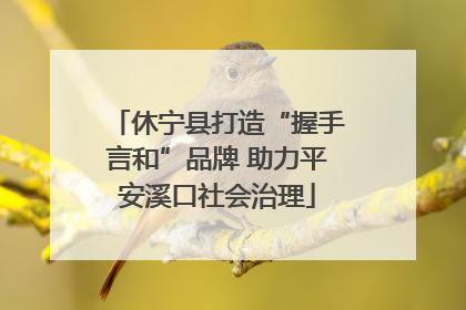 休宁县打造“握手言和”品牌 助力平安溪口社会治理