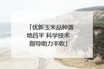 优新玉米品种落地昌平 科学技术指导助力丰收