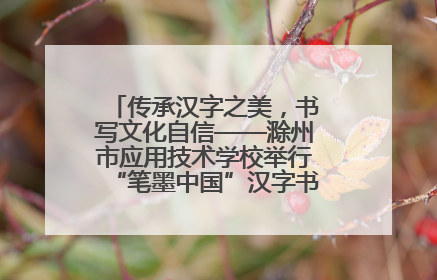 传承汉字之美，书写文化自信——滁州市应用技术学校举行“笔墨中国”汉字书写比赛表彰大会