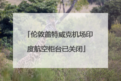 伦敦盖特威克机场印度航空柜台已关闭